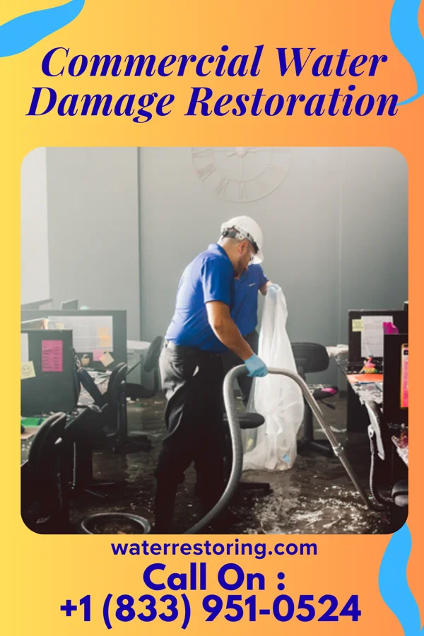Commercial Water Damage Restoration in Elkton, MD