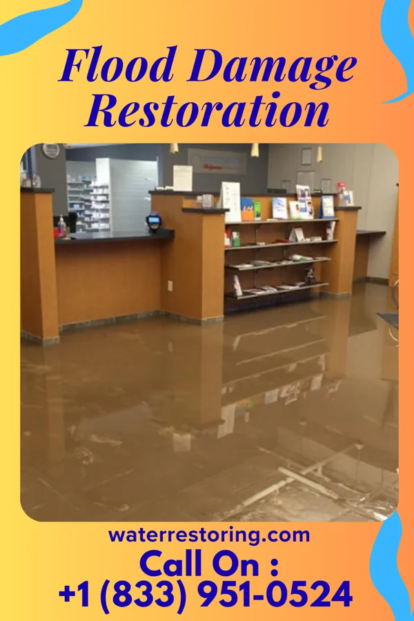Flood Damage Restoration in Elkton, MD