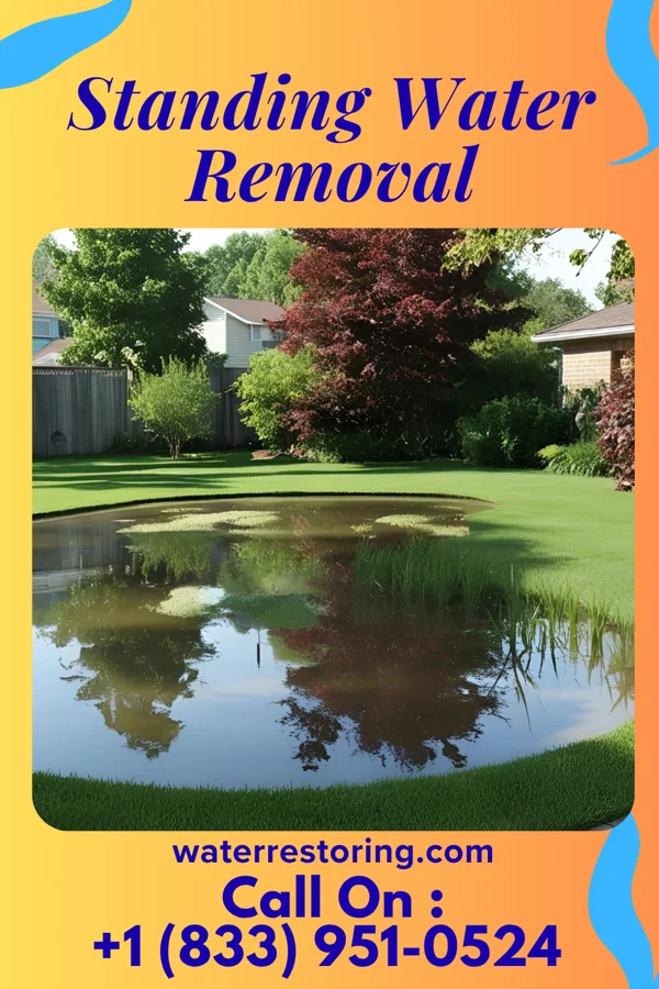 Standing Water Removal in Elkton, MD